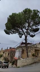 Centro de Deyr El Qamar