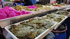 Zocos en el barrio antiguo