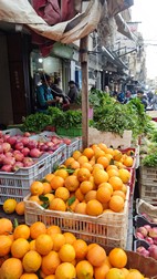 Zocos en el barrio antiguo