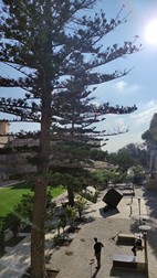 Jardines de Mdina