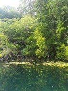 Cenote Negro