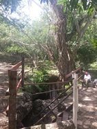 Acceso al cenote Chak-Zinik-Che