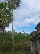 Reserva de la Biosfera de Sian Ka'an