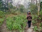 Nature walk