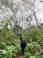 Nature walk