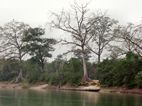 Río Narayani