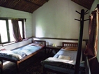 Standard room, Island Jungle Resort, Chitwan NP