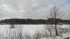 Alrededores de Bialowieza