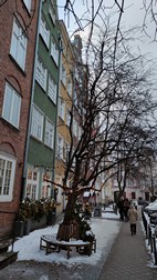 Centro de Gdansk