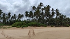 Rastros de tortuga en la playa de Rekawa