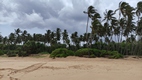 Rastros de tortuga en la playa de Rekawa