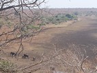 Grupo de elefantes sobre el lecho de un río seco, Kruger NP