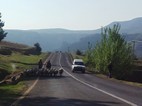Carretera desde Khabo a Ts'ehlanyane NP