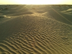 Desierto del Sahara cerca de Douz