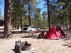 North Campground, Bryce Canyon NP