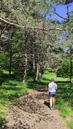 Ruta circular Arres de Sus