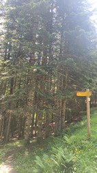 Ruta Uelhs deth Joeu y Artiga de Lin
