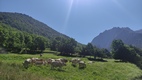 Ruta Canejan - Porcingles - Era Mla