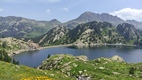 Ruta Circ de Colomrs