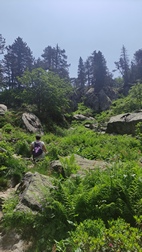 Ruta Circ de Colomrs