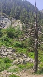 Ruta Circ de Colomrs