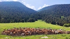 Ruta Beret - Sanctuario de Montgarri