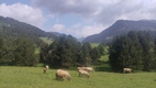 Ruta Beret - Sanctuario de Montgarri