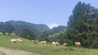 Ruta Beret - Sanctuario de Montgarri