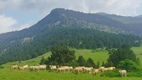 Ruta Beret - Sanctuario de Montgarri