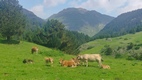 Ruta Beret - Sanctuario de Montgarri
