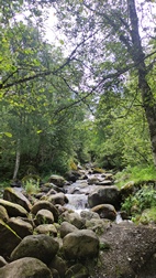 Camin dera bruisha