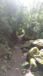 Camin dera bruisha